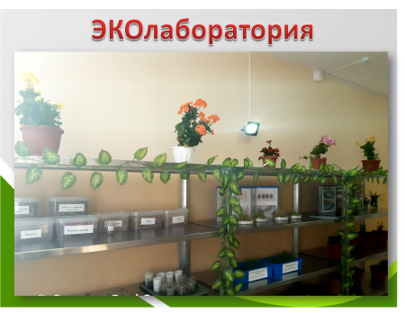 "Экология - табиғат жүрегі" жобасы. Проект "Экология - сердце природы